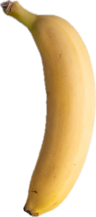 Follow Nepjune Astrology on Instagram