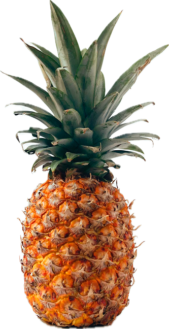 Download Nepjune Astrology app on Google Play